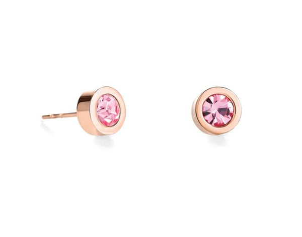 STUD EARRINGS WITH CRYSTALS 0228/21_1920 - LIGHT ROSE