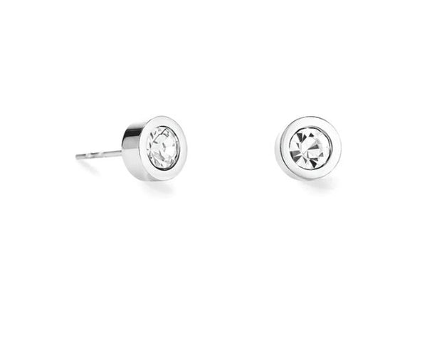 STUD EARRINGS WITH CRYSTALS 0228/21_1817 - CRYSTAL